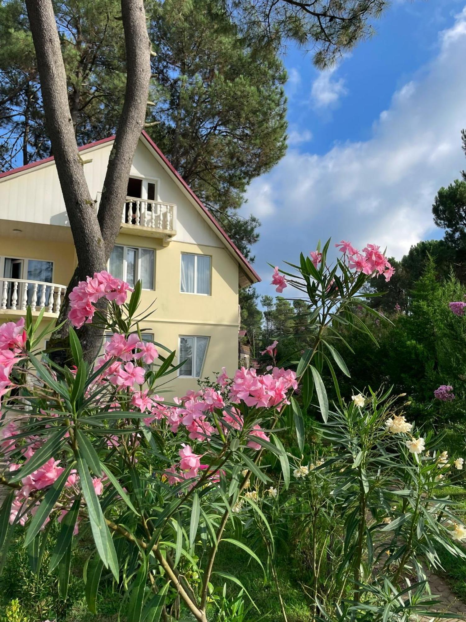 Kaprovani Villa 22 Sjekhvetili Eksteriør bilde